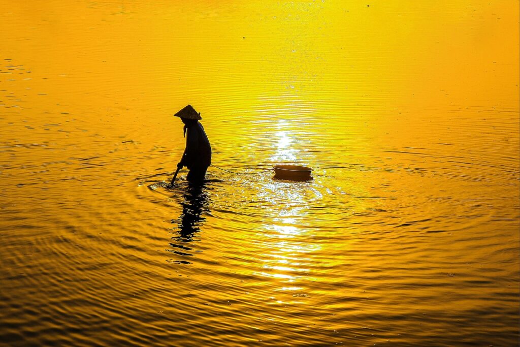 ビズシークは本当に稼げるのか？