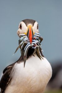 自動化ツールを使った副業のメリットとは？