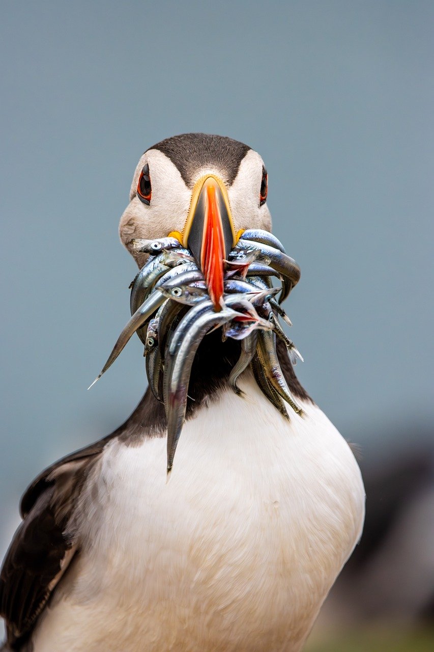 自動化ツールを使った副業のメリットとは？