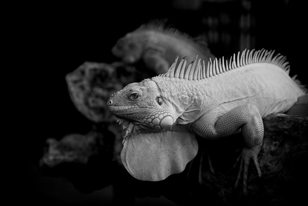 在宅で二刀流の副業とはどのようなものですか？