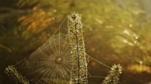 在宅でできる副業に最適なパソコンを使ったWeb作業は？